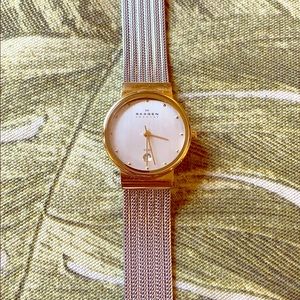 Skagen Silver and Gold watch